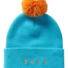 pom 1